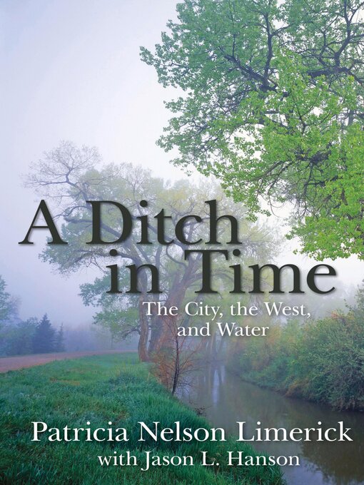 Cover image for A Ditch in Time